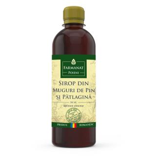 Sirop natural de tuse, din muguri de pin si patlagina, 500ml