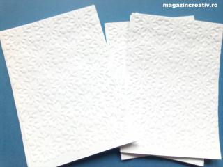 Carton embosat fulgi