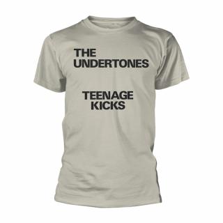 UNDERTONES, THE - Teenage Kicks Text