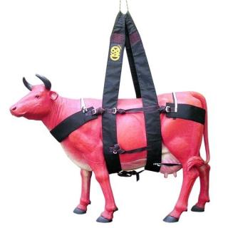 Ham Kong Waka Pentru Bovine