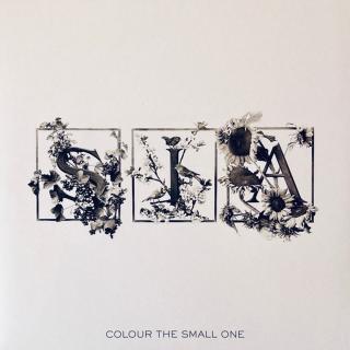 Sia - Colour The Small One