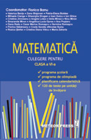 MATEMATICA - Culegere pentru clasa a VI-a