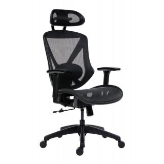 Scaun ergonomic Aero Pro, Mesh Negru, Suport Lombar Reglabil, Tetiera si Mecanism Sincron