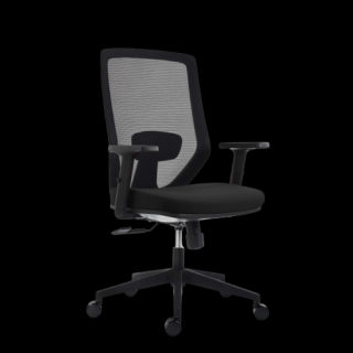 Scaun Ergonomic Zen Negru