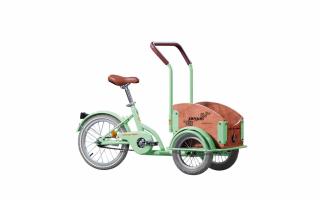 PEGAS MINI CARGO 1S VERDE FISTIC