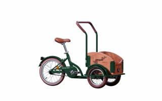 PEGAS MINI CARGO 1S VERDE SMARALD