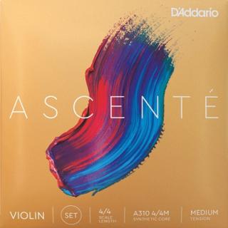 Set corzi D addario Ascente vioara