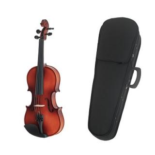 Set Fidelio vioara acustica