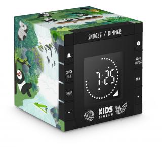 CEAS PROIECTIE PANDA BIGBEN