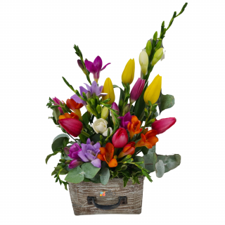 Aranjament floral de primavara Olla cu lalele si frezii in sertar cadou corporate