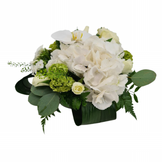 Aranjament floral nunta Olla cu Hortensia si Orhidee albe