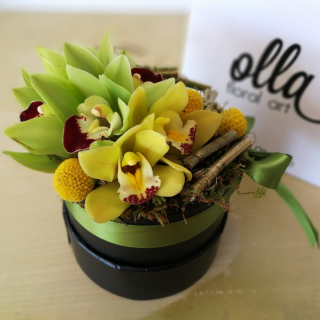 Cutie cu flori Olla din Orhidee si Craspedia cadou corporate