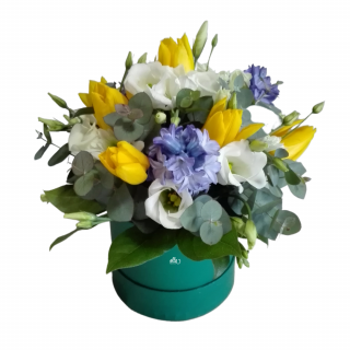 La multi ani flori in cutie Olla cu Lalele si Zambile cadou corporate