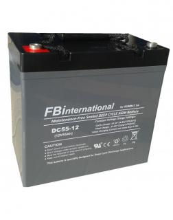Acumulator VRLA FB International GEL 12V 55 Ah DCG55-12
