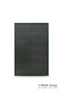 Panou fotovoltaic monocristalin 335Wp Bisol Spectrum Verde Padure