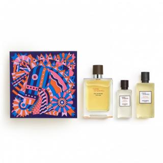 Hermes Terre D'hermes Eau Intense Vetiver 100ml EDP + 40ml After Shave Lotion + 80ml Gel de duș Set