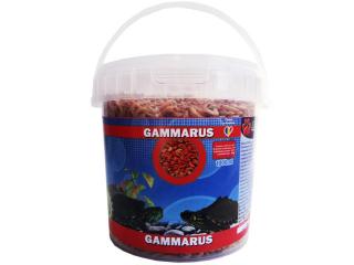 EXO Gammarus 1000 ml