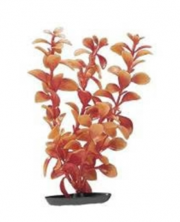 MARINA Planta pentru Acvariu, Ludwigia Red, Plastic, 30 cm