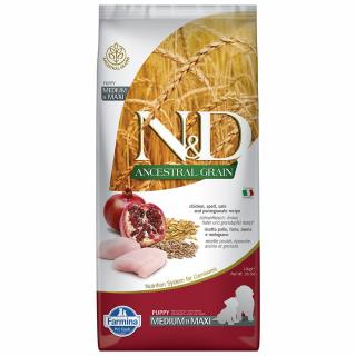 ND Ancestral Grain, Hrana Uscata Caine Junior, Talie Medie Mare, Pui si Rodie, 12kg