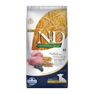 ND Ancestral Grain, Hrana Uscata Caine Junior, Talie Mica, Miel si Afine, 800g