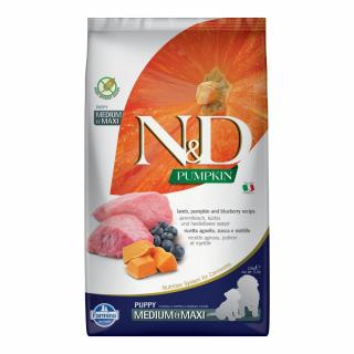 ND Pumpkin, Hrana Uscata Caine Junior, Talie Medie Mare, Miel si Afine, 2.5kg