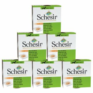 Pachet conserve Caini Schesir Adult Small Pui si Miel 6x85g