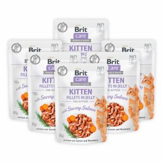 Pachet Plicuri Pisici BRIT CARE Kitten Fillets in Jelly with Savory Salmon 6x85g