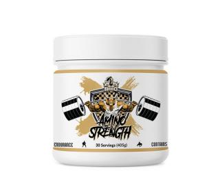 Hammer Labz Amino Streght 405g