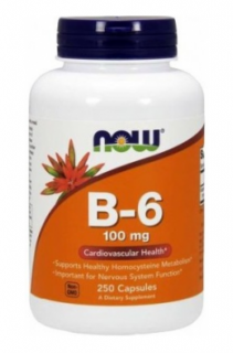 Now Vitamin B-6 100 mg 250 caps