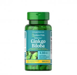 Puritan s Pride Ginkgo Biloba Standardized Extract 120 mg 100 caps