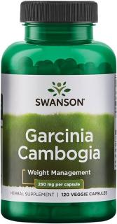 Swanson Garcinia Cambogia 250 mg 120 vcaps
