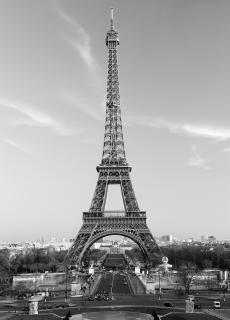 Fototapet 00386 Turnul Eiffel