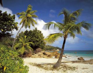 Fototapet 8-885 Praslin