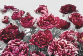 Fototapet XXL4-002 Flori rosii