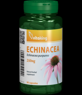 Extract de Echinacea 250 mg - 90 capsule, Vitaking