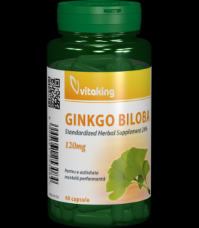 Ginkgo Biloba Forte 120 mg cu absorbtie indelungata - 60 capsule, Vitaking
