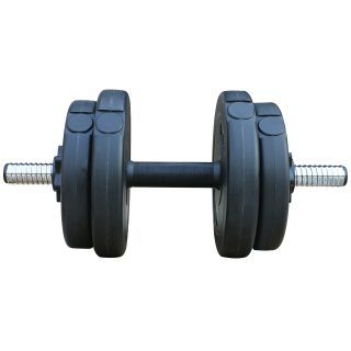 Set gantera 10 kg -RESIGILAT