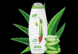 GEL DE DUS VIDAL ALOE VERA 500ML