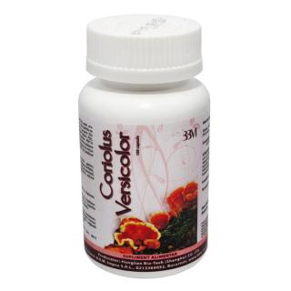 Coriolus Versicolor 100 Capsule