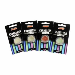 Pigment Rub-0n chameleon