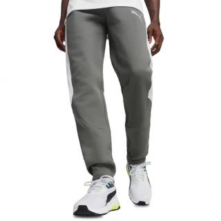 EVOSTRIPE Pants DK