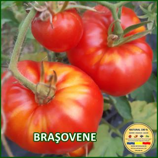 BRAsOVENE