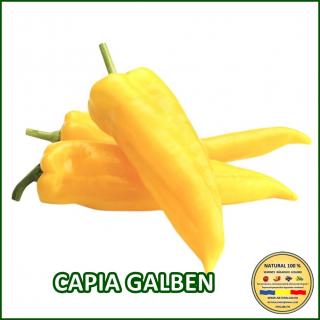 CAPIA GALBEN