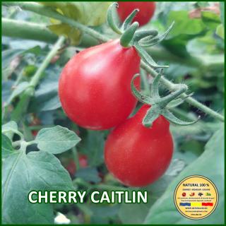 CHERRY CAITLIN