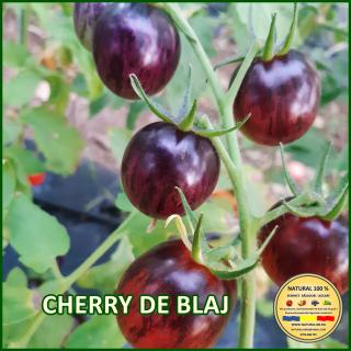 CHERRY DE BLAJ