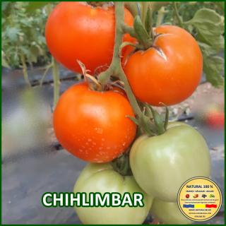 CHIHLIMBAR