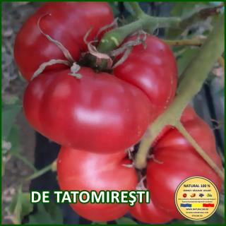 DE TATOMIREsTI