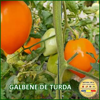 GALBENE DE TURDA