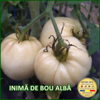 INIMA DE BOU ALBA