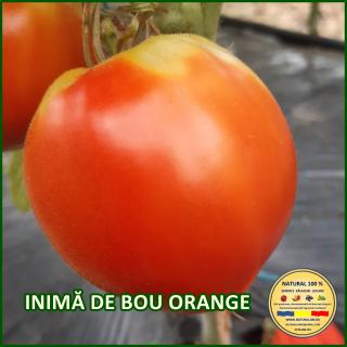 INIMA DE BOU ORANGE